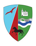 Llanybydder community council logo